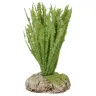 Provencaalse decor Rieten