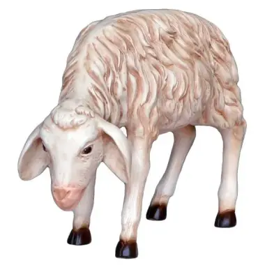 Agneau avec tête vèrs le bas 52x60 cm pour crèche de 160 cm