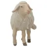 Houtsnijwerk Schaap/kop Omhoog voor kerstfiguren van 20 cm / Gekleurd